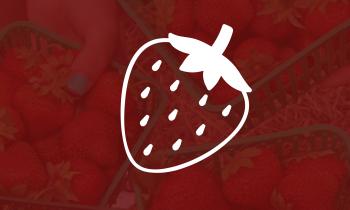 ciu-strawberry-garden-tour24-webB