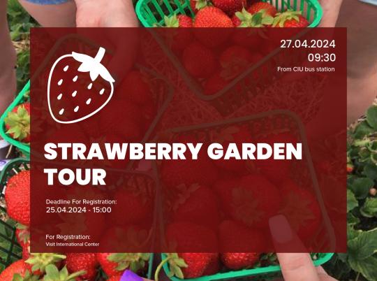 ciu-strawberry-garden-tour24-webK