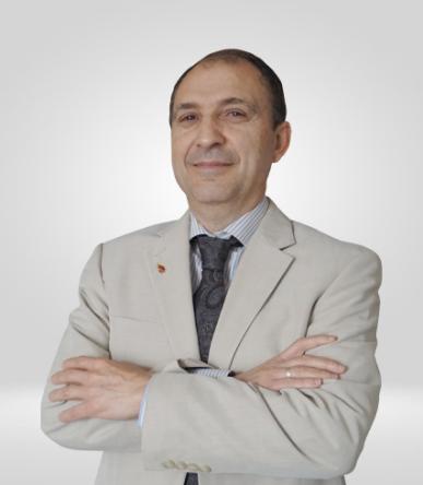 Majid Hashemipour