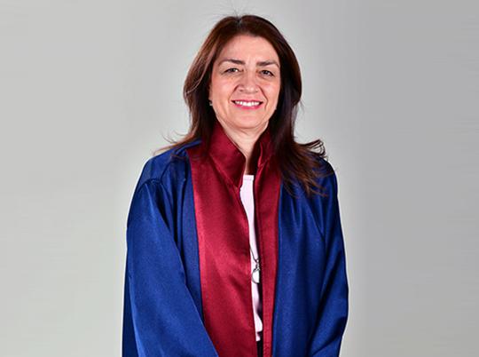 Professor Dr. Seyhan Altun
