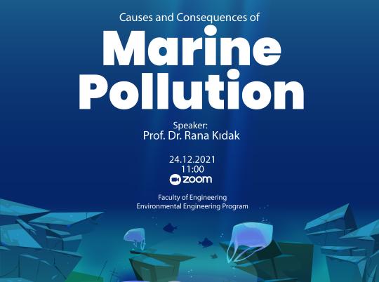  What Causes Marine Pollution Marine Pollution Causes Types Effects Prevention 2022 11 11