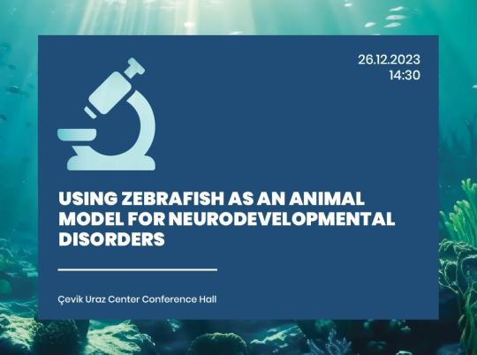 Using Zebrafish As an Animal Model | CIU